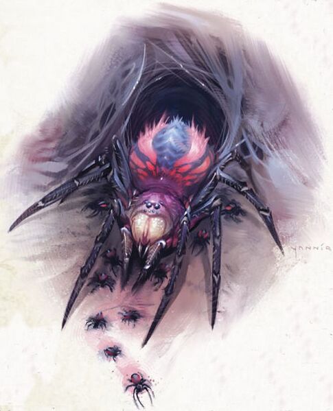 File:500px-Trapdoorspider.jpg