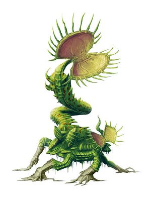 450px-Giantflytrap.jpg