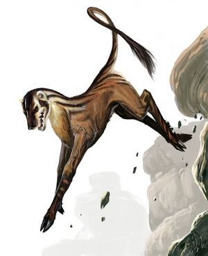 486px-Leucrotta.jpg