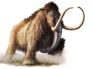 375px-Mastodon.jpg