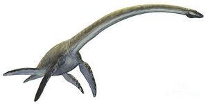 375px-Elasmosaurus.jpg